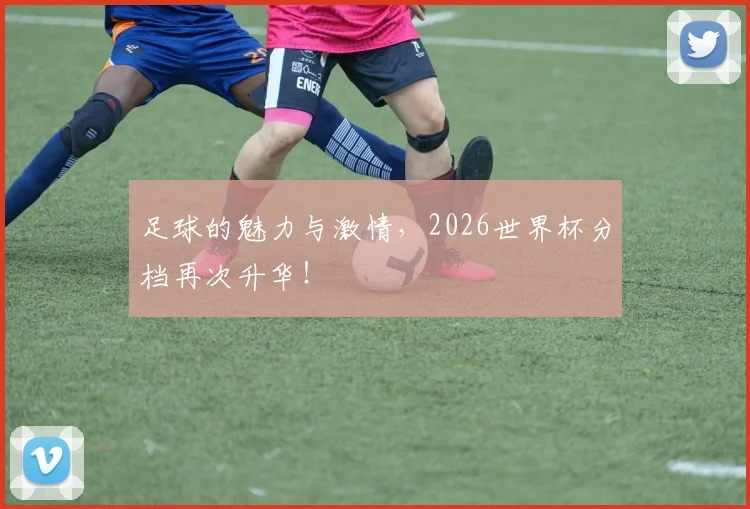 足球的魅力与激情,2026世界杯分档再次升华!