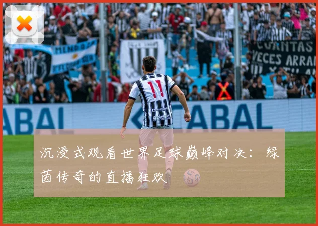 沉浸式观看世界足球巅峰对决:绿茵传奇的直播狂欢
